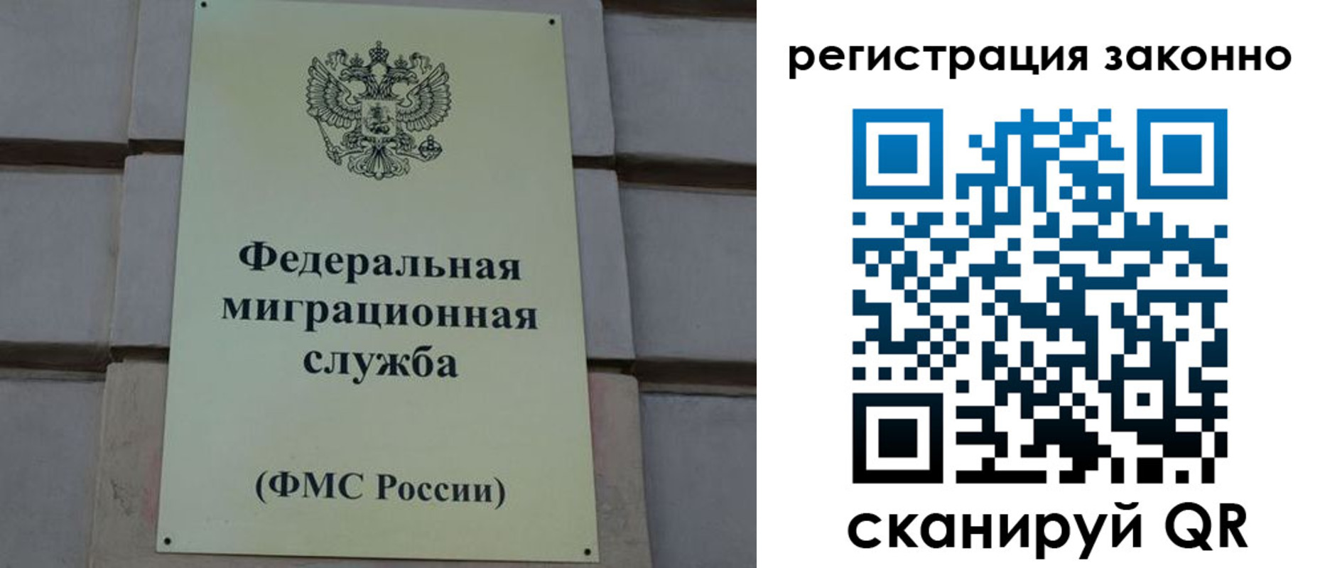 прописка гарантия в Дубовке